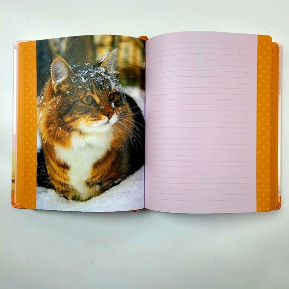 Cat Lover's Devotional Journal - Picture 7 of 8